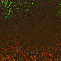 Stahls CCE903 Cad-Cut Effect Sparkle Gold