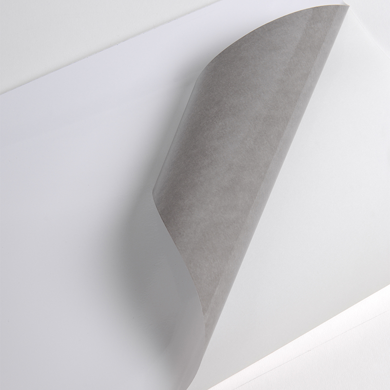 Hexis V300WG Monomeer printmedia 45m x 1370mm