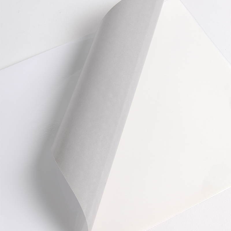 Hexis V3000WG Monomeer printmedia 35m x 1370mm