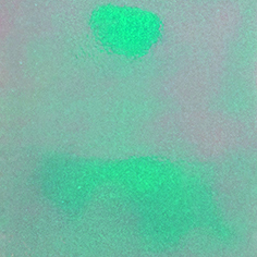 [CCD2002] Stahls CCD2002 Cad-Cut Disco Green