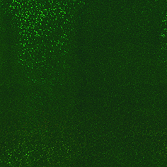 [CCE908] Stahls CCE908 Cad-Cut Effect Sparkle Green