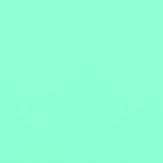 [CCF419] Stahls' CCF419 Cad-Cut Flock mint