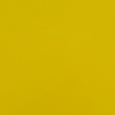 [CCPP110] Stahls CCPP110 Cad-Cut Premium Plus NEW Yellow