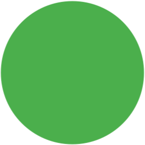[CCPP401] Stahls CCPP401 Cad-Cut Premium Plus NEW Fluor Green