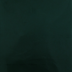 [CCPP410] Stahls CCPP410 Cad-Cut Premium Plus NEW Dark Green