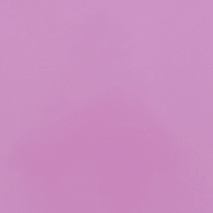 [CCSF256] Stahls CCSF256 Cad-Cut Sportsfilm Rose Pink