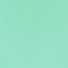[CCSF370] Stahls CCSF370 Cad-Cut Sportsfilm Pastel Mint