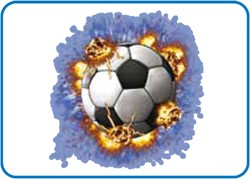 [CCSSPF/5] StahlsCCSSPF/5 Cad Color Sportsfilm 5m x 500 mm Printmedia